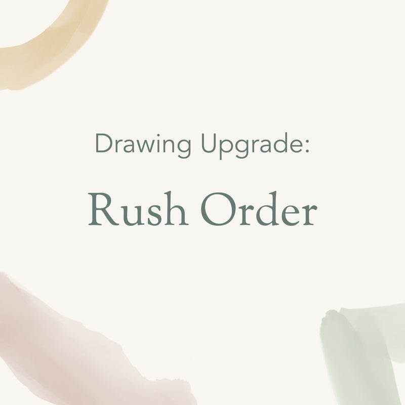 Drawing Upgrade: Rush Order